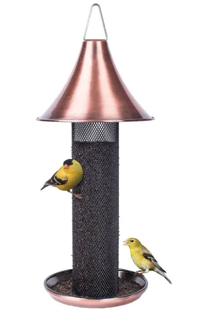 Do finches like sock feeders?