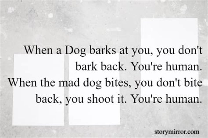 Do I ignore my dog when he barks?