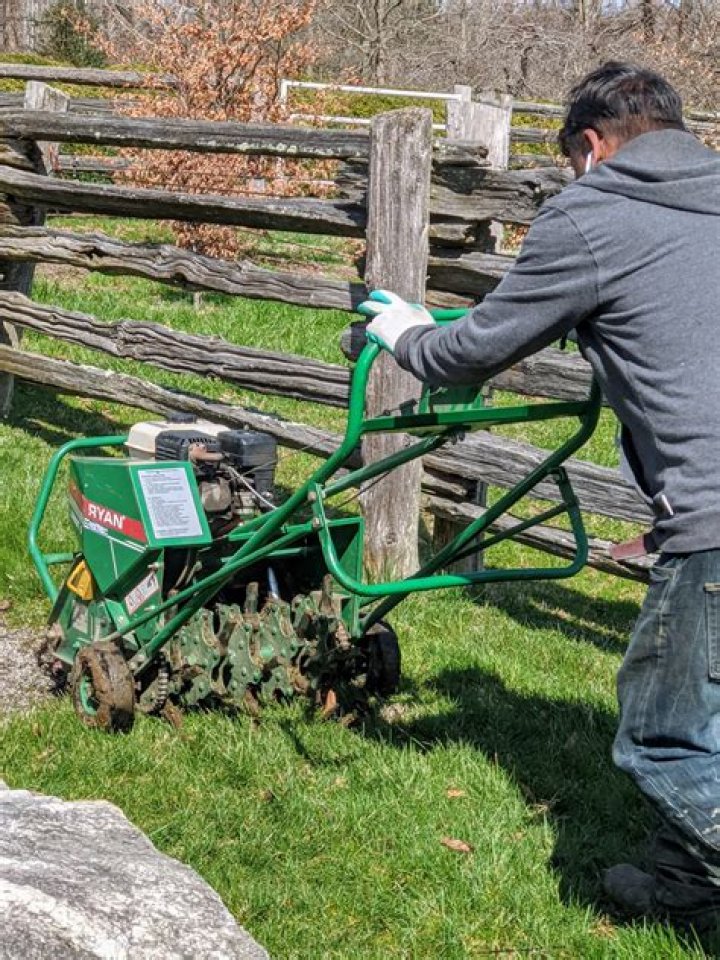 Do lawn aerators really work?