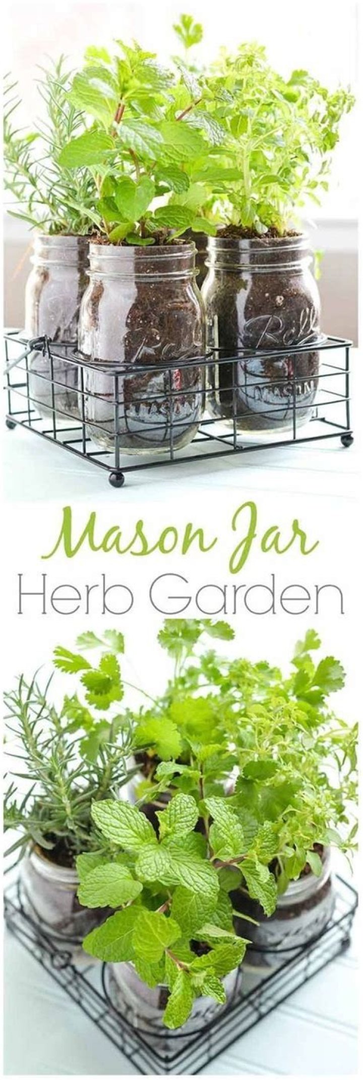 Do mason jar herb gardens work?