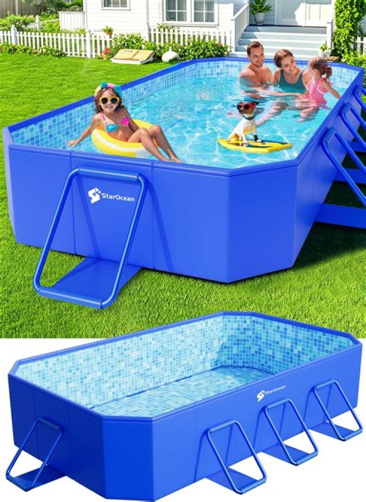 Do Poodles like swimming pools?