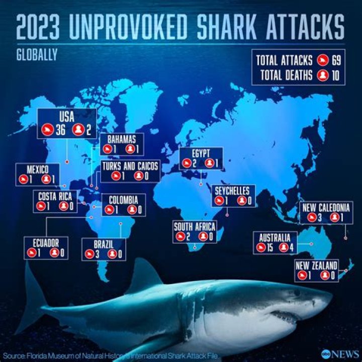 Do scuba divers get eaten by sharks?