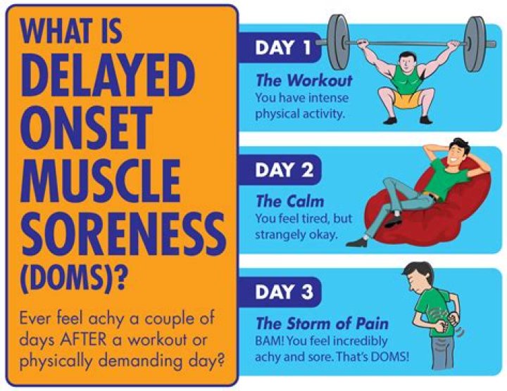 Do sore muscles mean they are getting stronger?