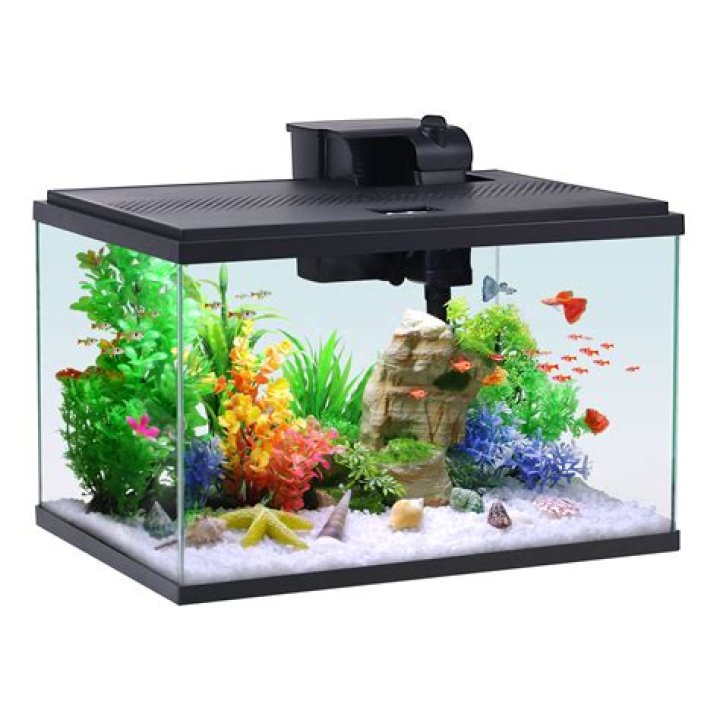 Do they sell fish tanks at Walmart?
