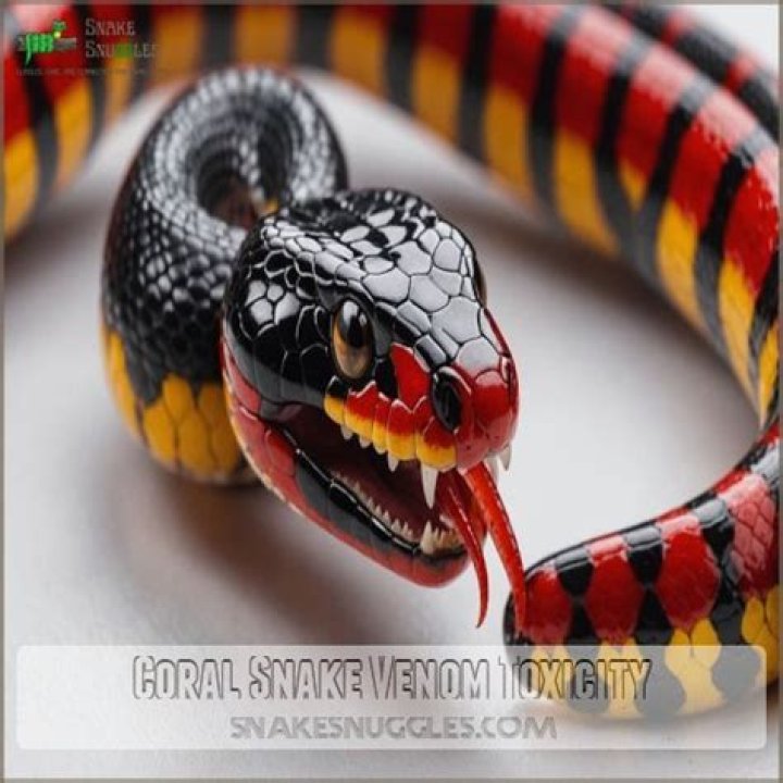 Do they still make antivenom for coral snakes?