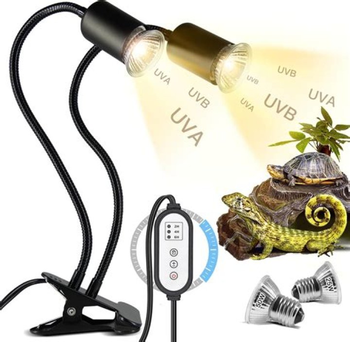 Do turtles need UVA and UVB light?