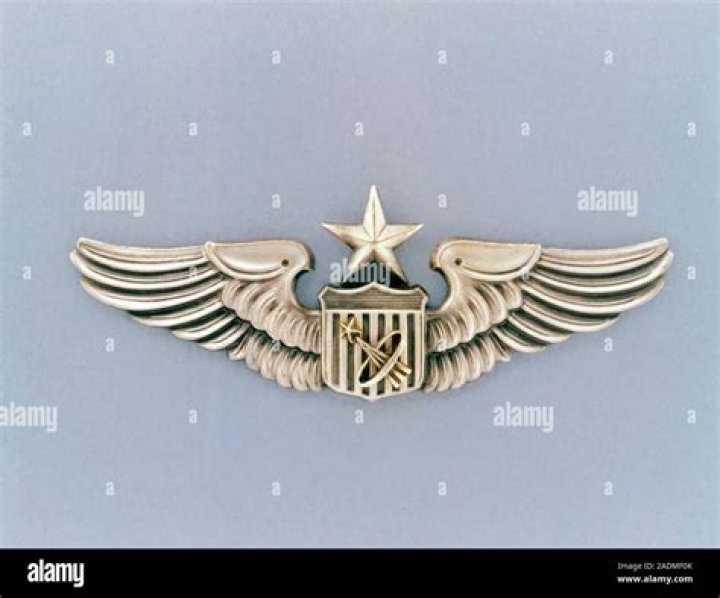 Do u 2 pilots get astronaut wings?