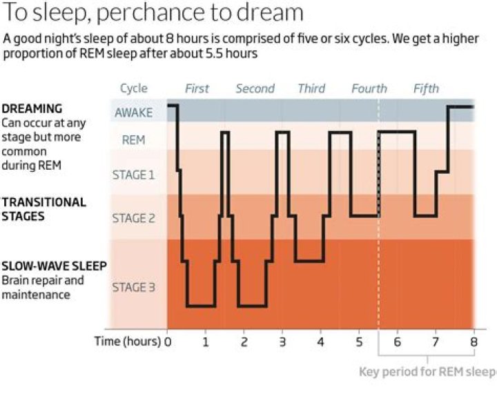 Do we dream in stage 1 sleep?
