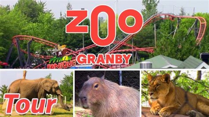 Do you have to wear a mask at Granby Zoo?