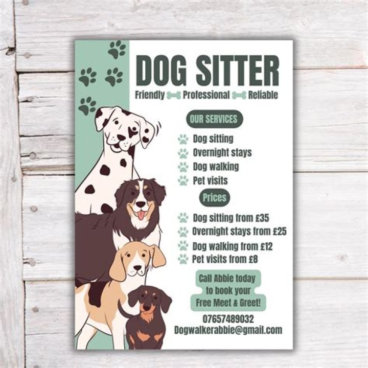 Do you need license for pet sitting?