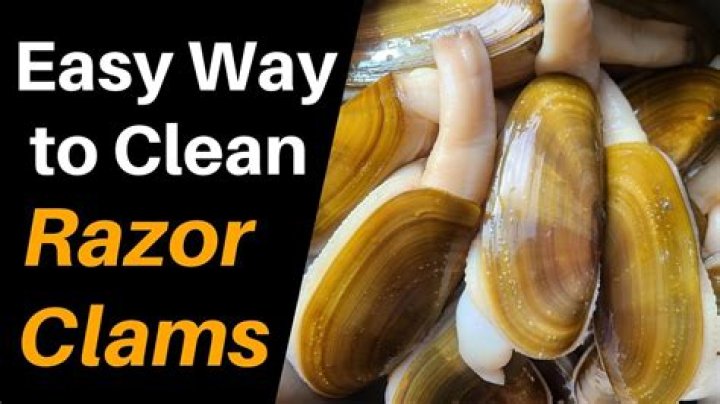 Do you need to clean razor clams?