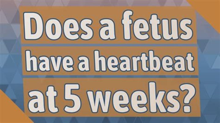 Does a fetus have a heartbeat at 5 weeks?