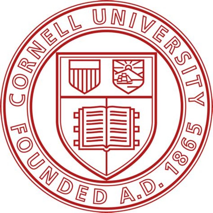 Does a pass/fail look bad on transcript?