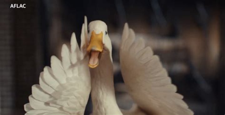Does Aflac really pay in one day?