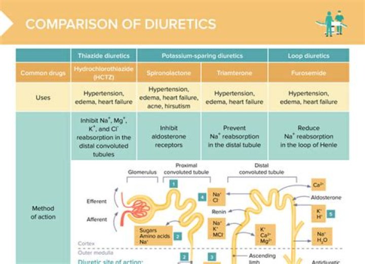 Does amlodipine have a diuretic effect?