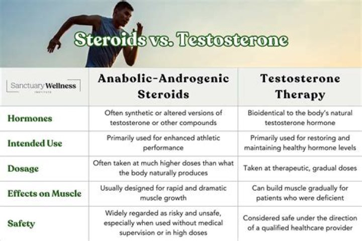 Does androstenedione boost testosterone?
