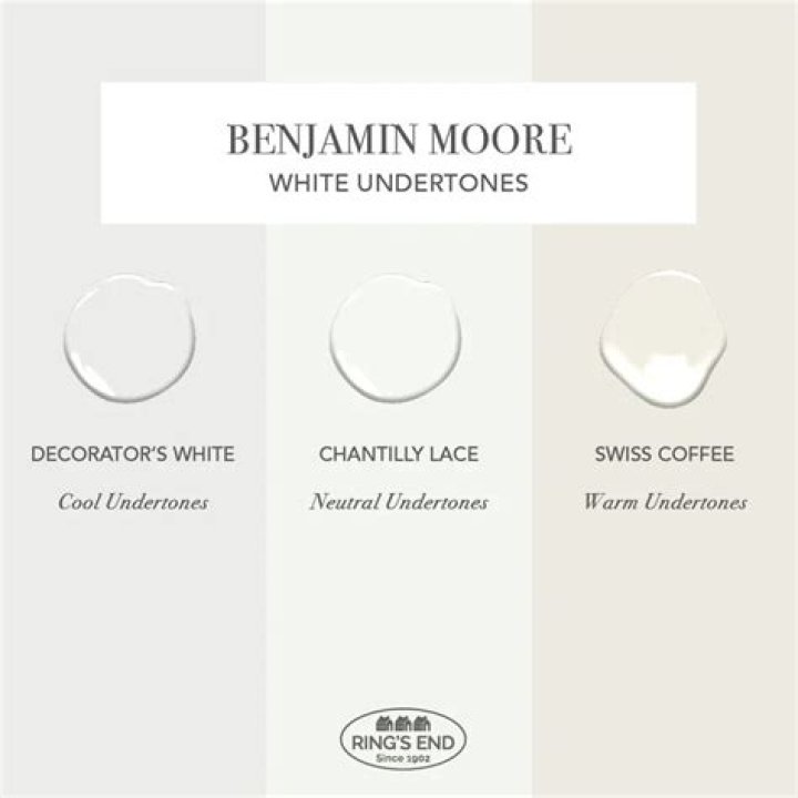 Does Benjamin Moore have paint chips?