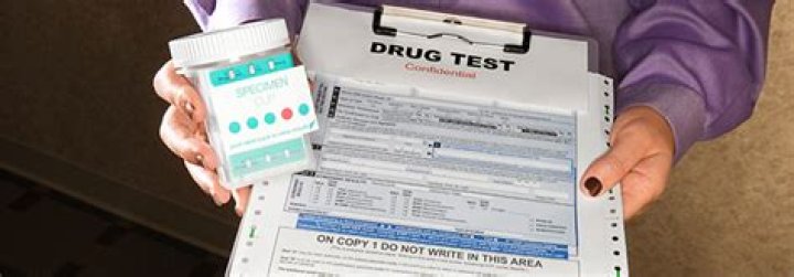 Does buckle drug test employees?