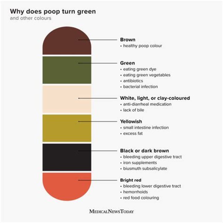 Does charcoal bread make poop green?