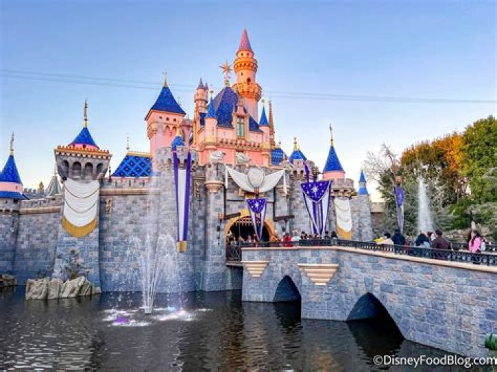 Does Disneyland have a webcam?