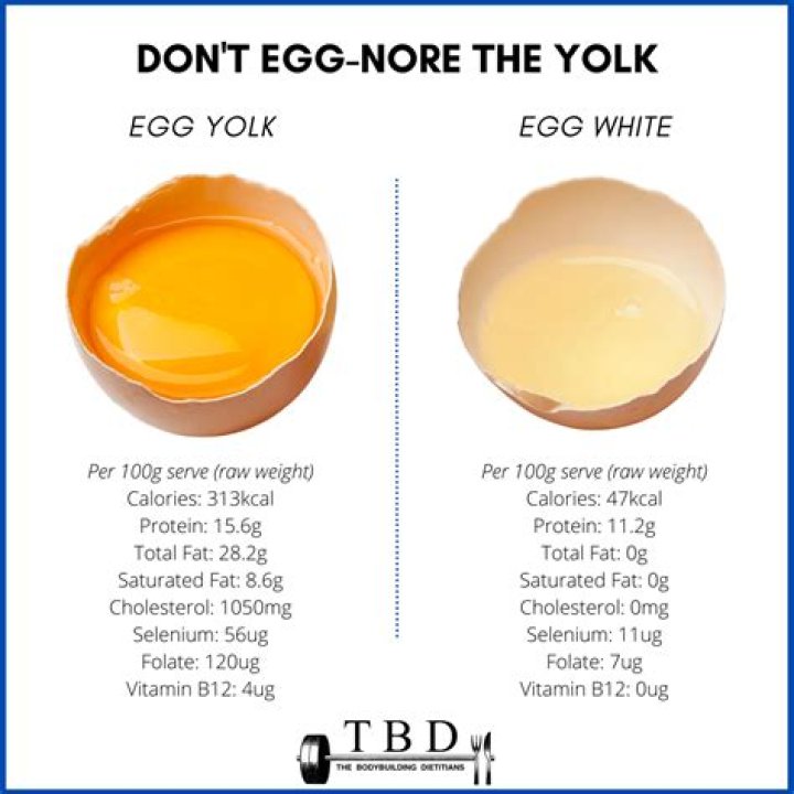 Does egg white or yellow have more protein?