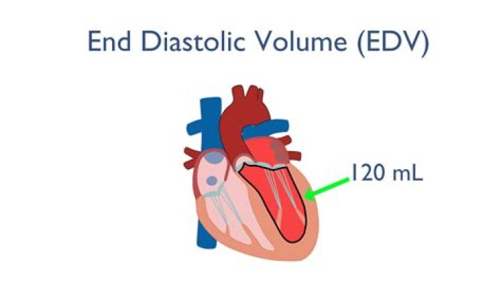 Does end-diastolic volume decrease in heart failure?