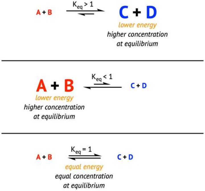 Does equilibrium favor higher pKa?