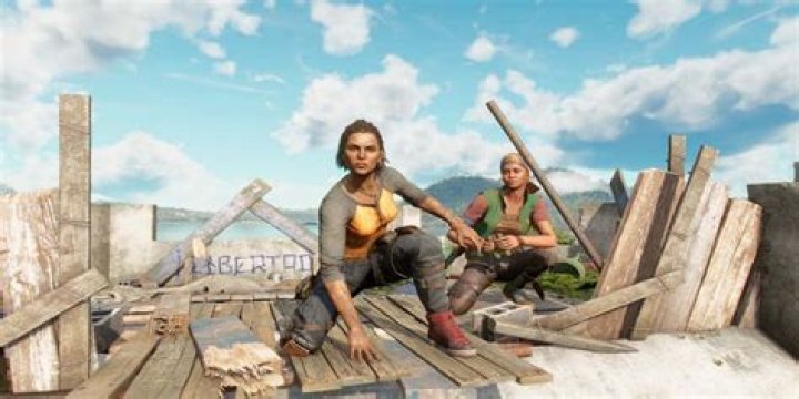 Does Far Cry 3 co-op still work?