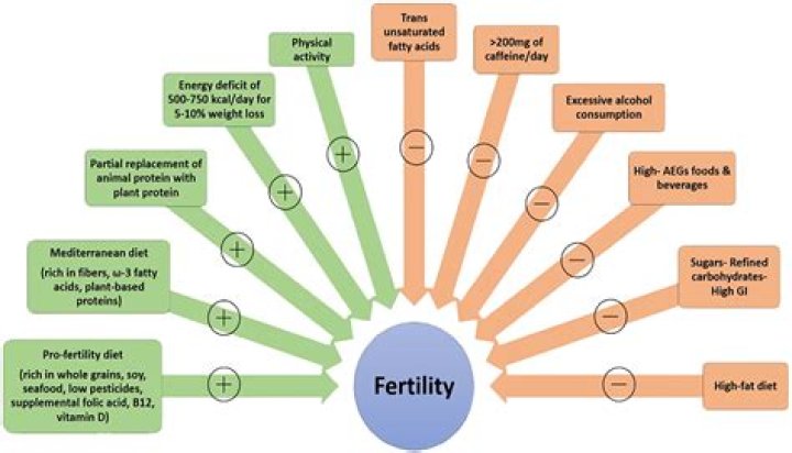 Does grief affect fertility?
