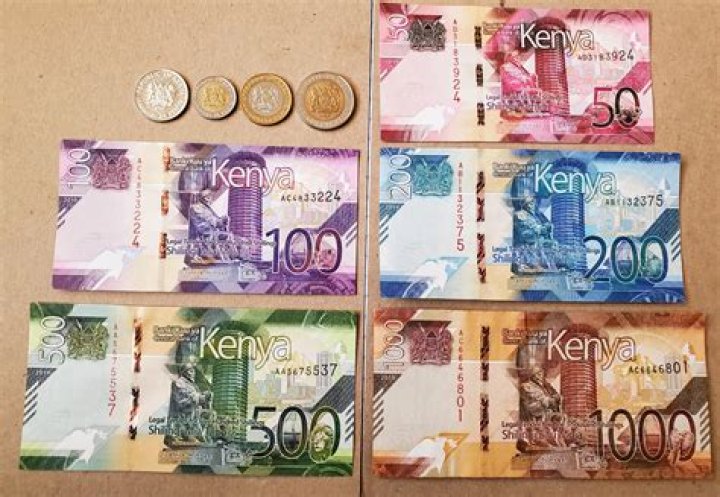 Does Kenya use shillings?