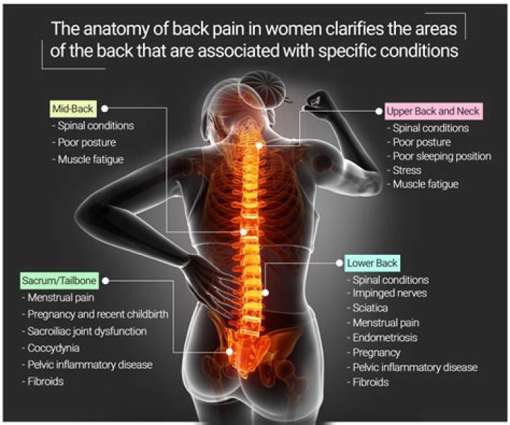Does lower back pain mean your having a miscarriage?