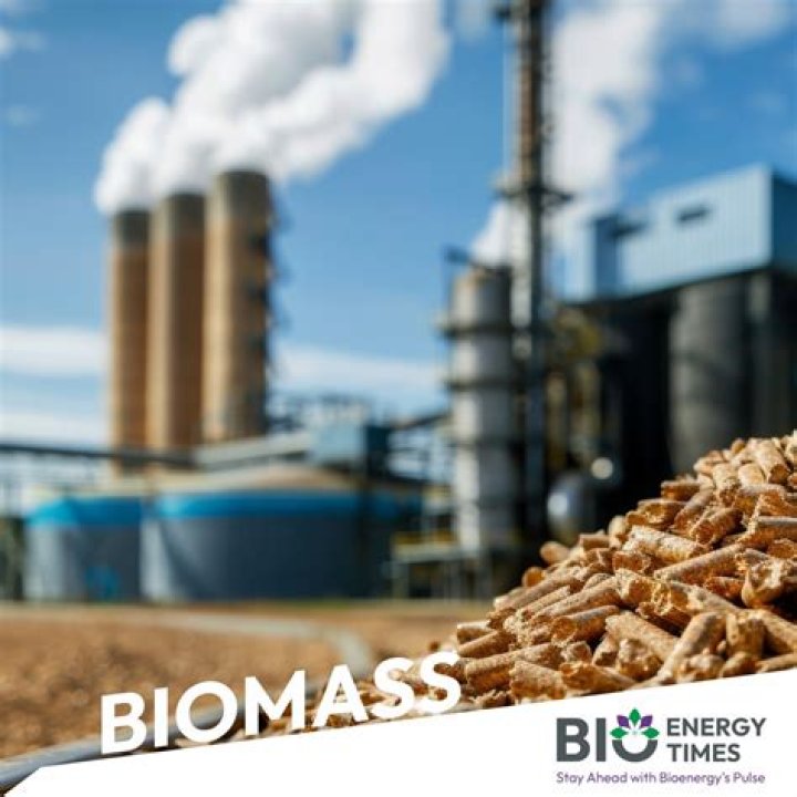 Does Malaysia use biomass energy?