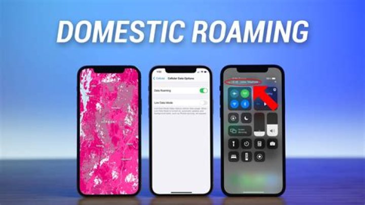 Does Republic Wireless have domestic roaming?