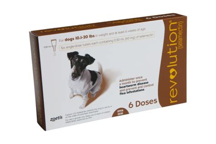 Does Revolution for Dogs protect against ticks?