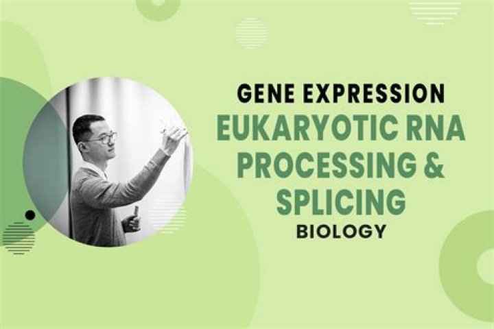 Does splicing occur in prokaryotes?