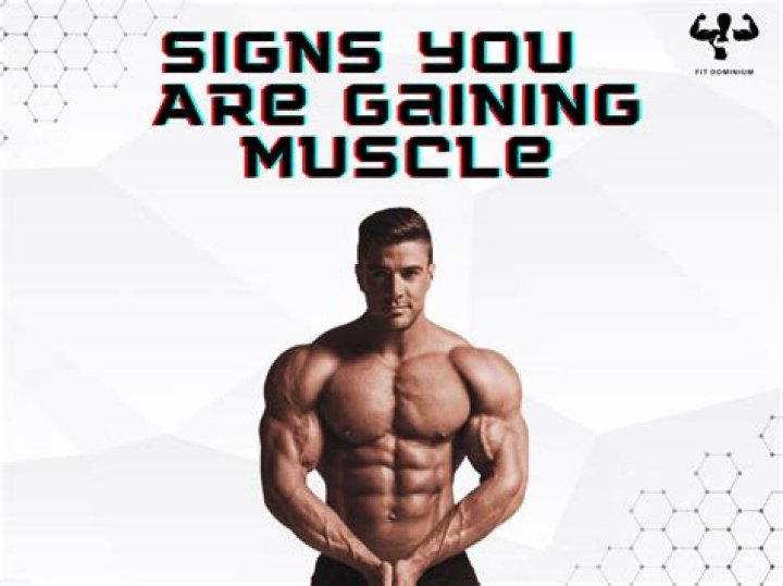 Does starving yourself burn fat or muscle?