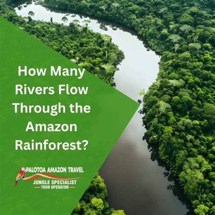 Does the Amazon rainforest provide jobs?