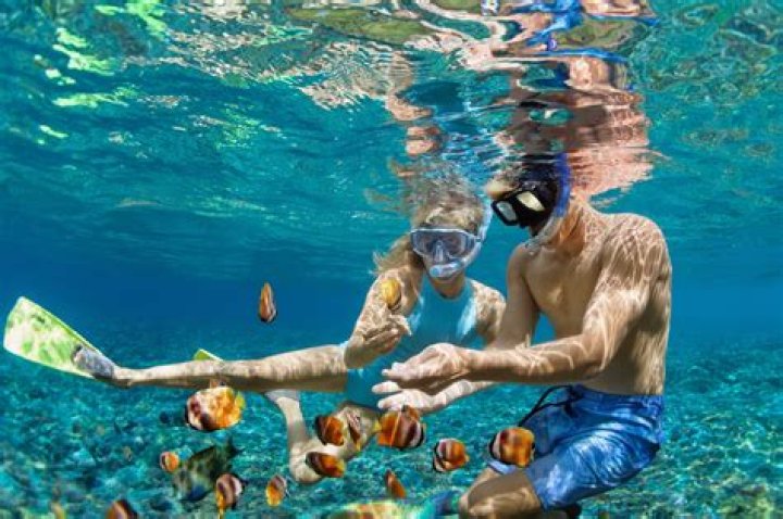 Does the Big Island have good snorkeling?