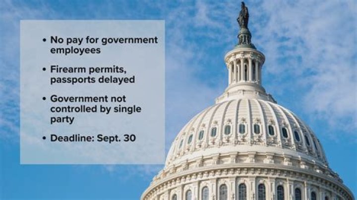 Does the government provide schools?