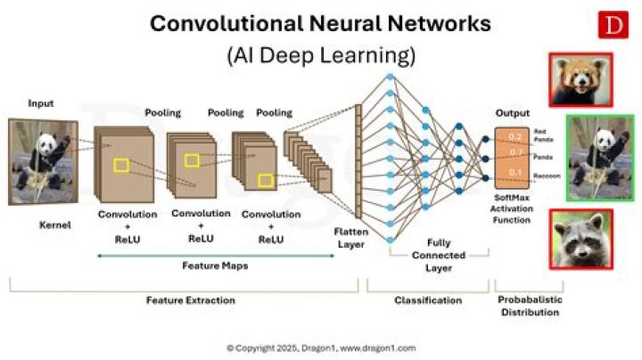 Does the heart have a neural network?