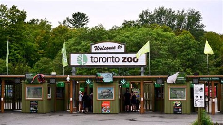 Does the Toronto Zoo have tigers?