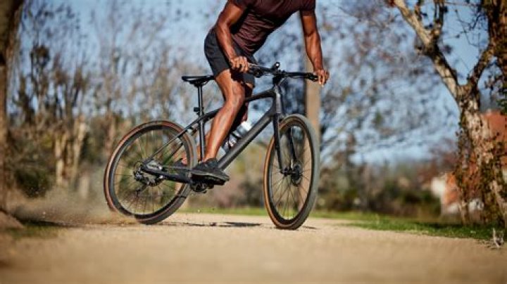 Does Trek make a flat bar road bike?