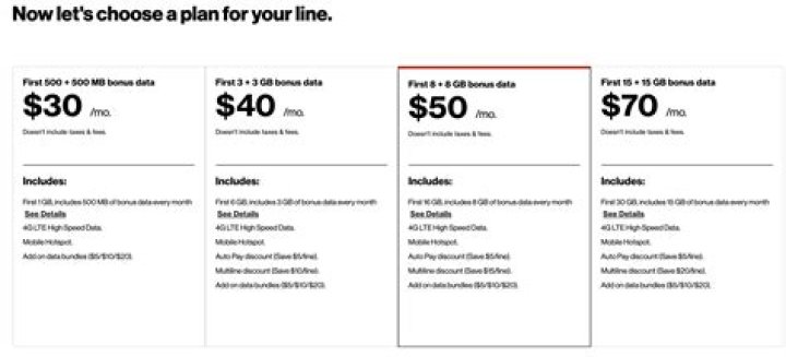 Does Verizon have a shared plan charge?
