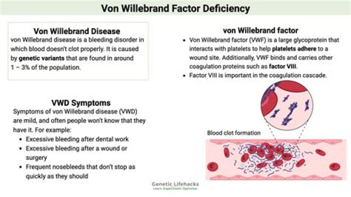 Does von Willebrand disease cause bruising?