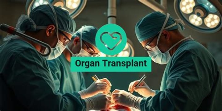 Has there been a successful artificial organ transplant?