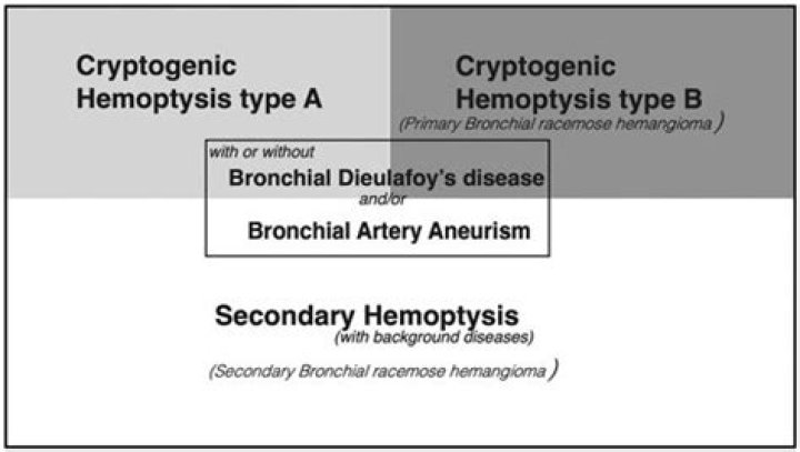 How are dieulafoy lesions diagnosed?