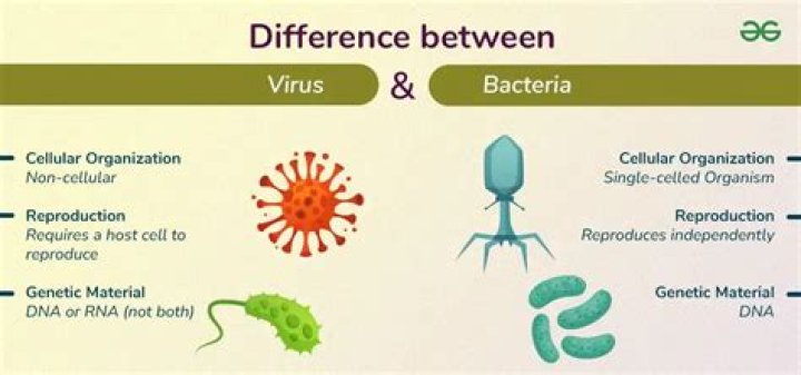 How are viruses similar and different to living organisms?