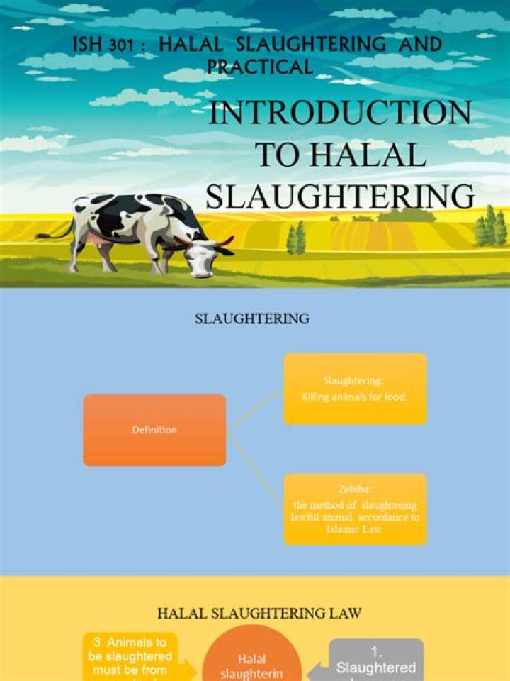 How bad is halal slaughter?