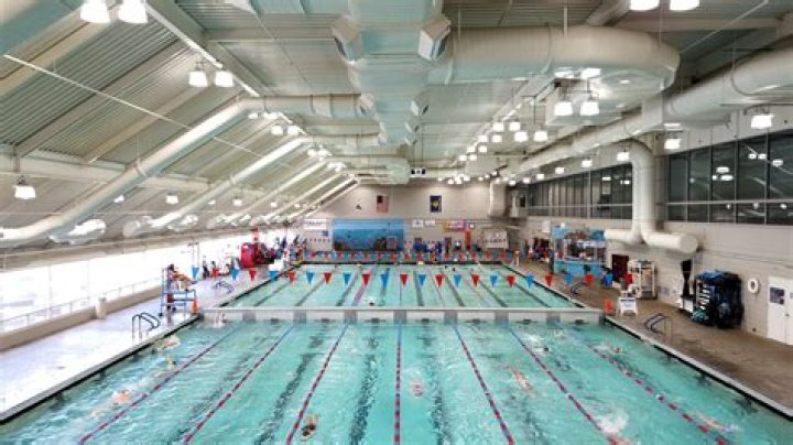 How big is 50m pool?