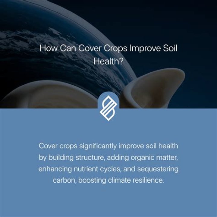 How can cover crops improve soil?